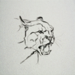 Cougar drawing